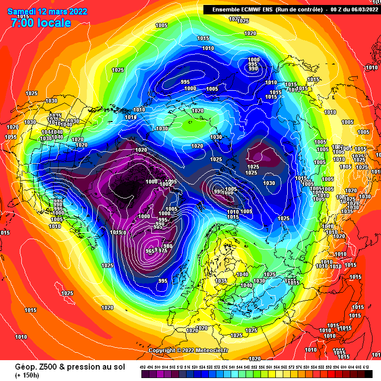 gensnh_0_1_150zww1.png
