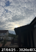Mntrol (63)