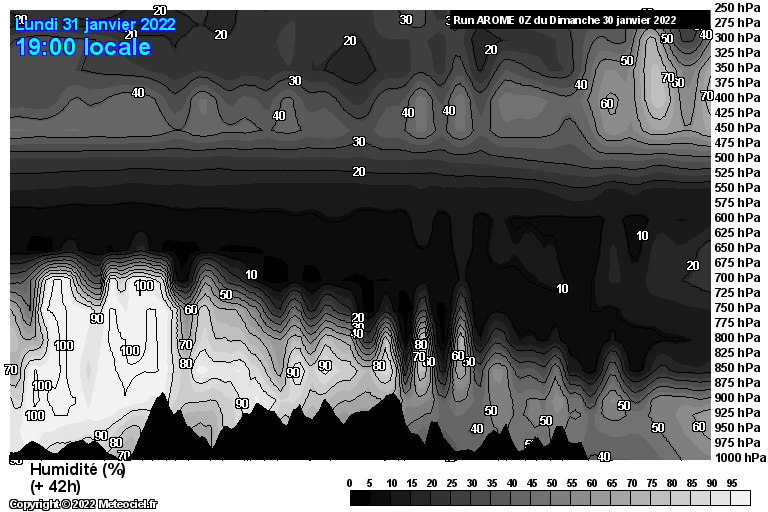 coupearome_506_459_553_612_42_1_1000_250