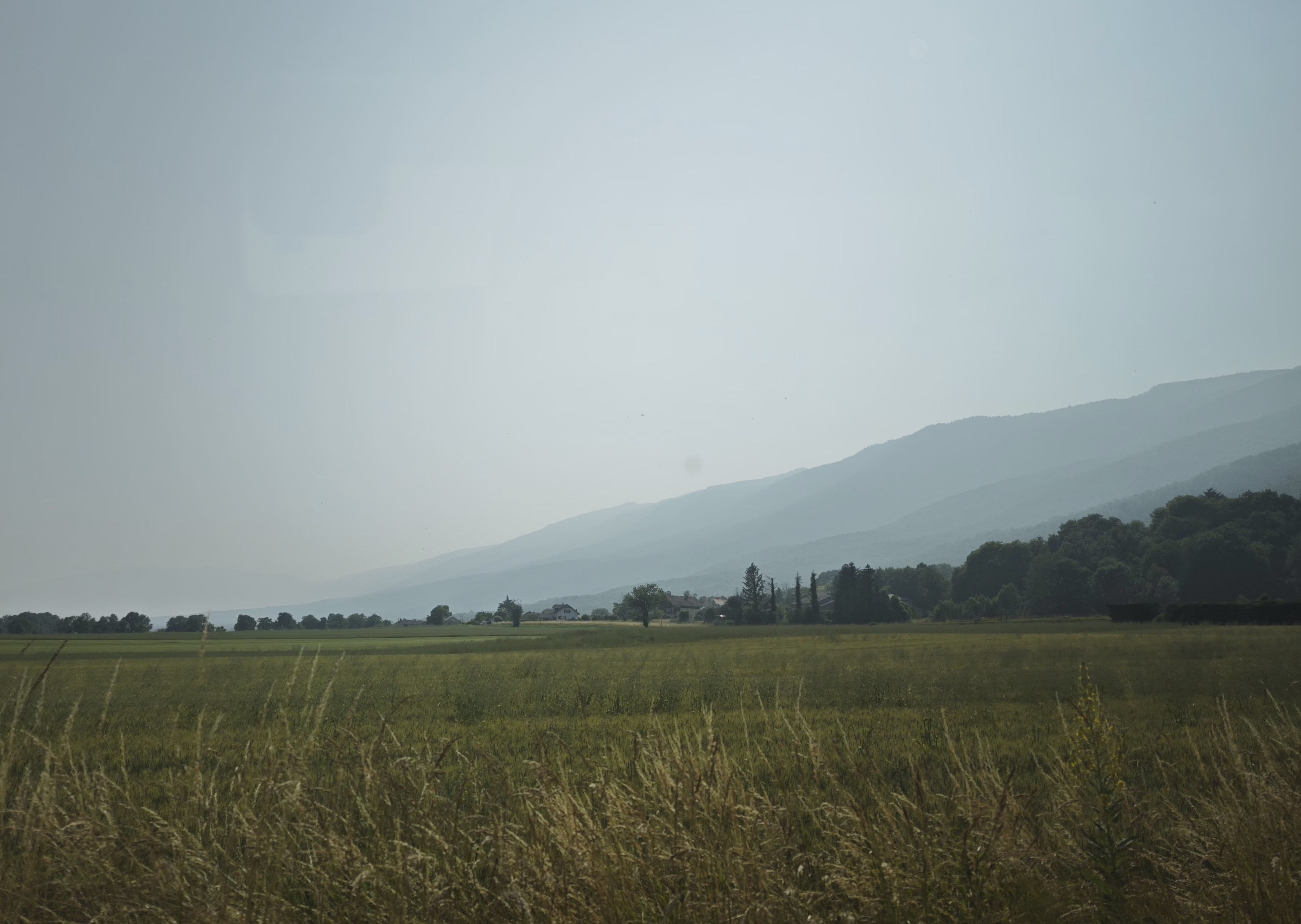 1000029607hwv4.heif.jpg